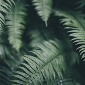 Meet your Posher, Blake